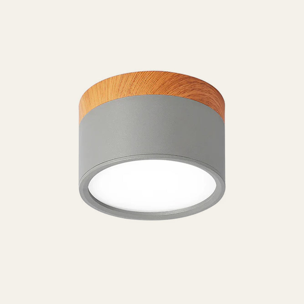 Cylinder LED Ceiling Spotlight – view 29 | BROKLEN