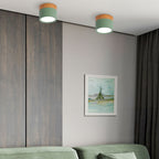 Cylinder LED Ceiling Spotlight – view 16 | BROKLEN