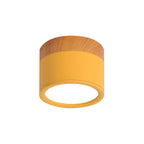 Cylinder LED Ceiling Spotlight – view 26 | BROKLEN