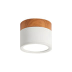 Cylinder LED Ceiling Spotlight – view 4 | BROKLEN