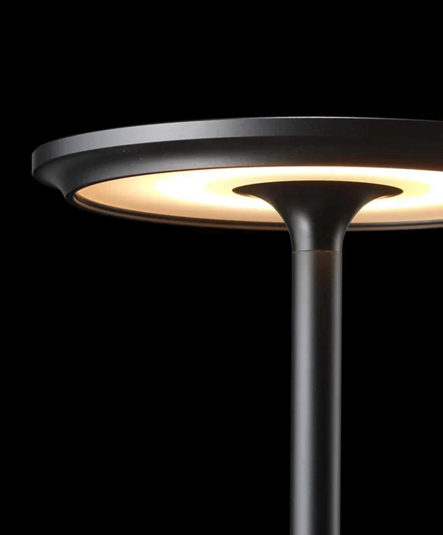 Cordless Rechargeable Touch-Dimming Table Lamp – view 11 | BROKLEN