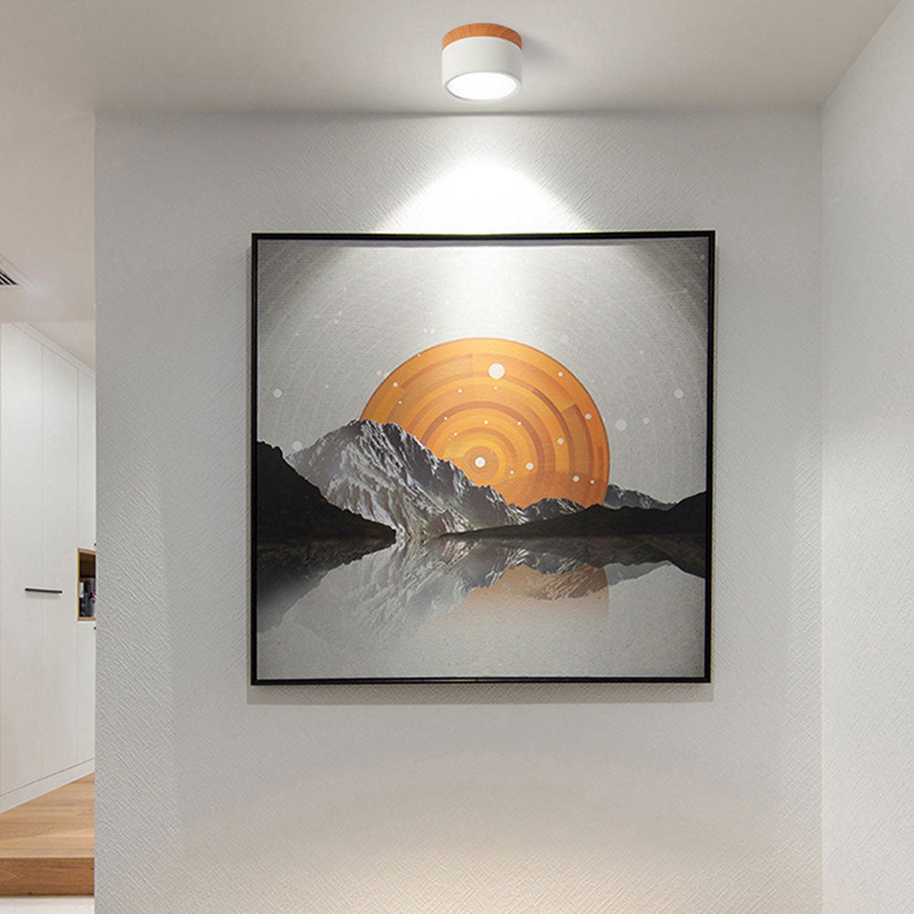 Cylinder LED Ceiling Spotlight – view 3 | BROKLEN