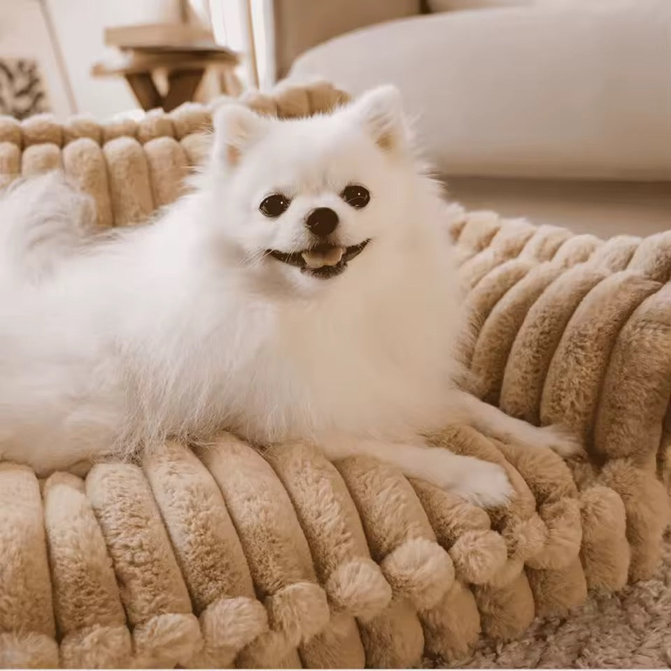 Orthopedic Dog Bed with Elevated Headrest & Joint Support | BROKLEN - view 8