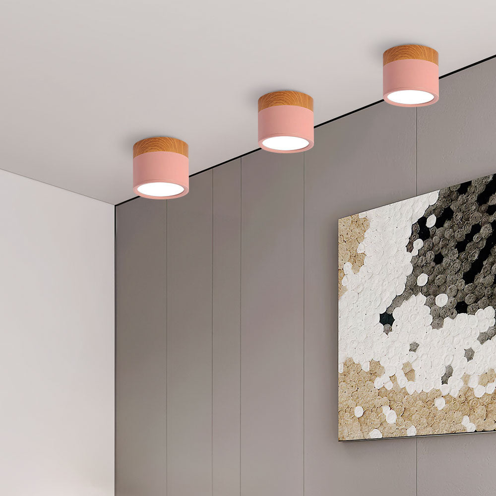 Cylinder LED Ceiling Spotlight – view 22 | BROKLEN