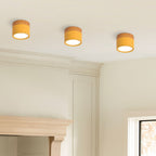Cylinder LED Ceiling Spotlight – view 27 | BROKLEN
