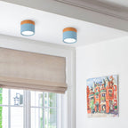 Cylinder LED Ceiling Spotlight – view 36 | BROKLEN