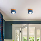 Cylinder LED Ceiling Spotlight – view 41 | BROKLEN