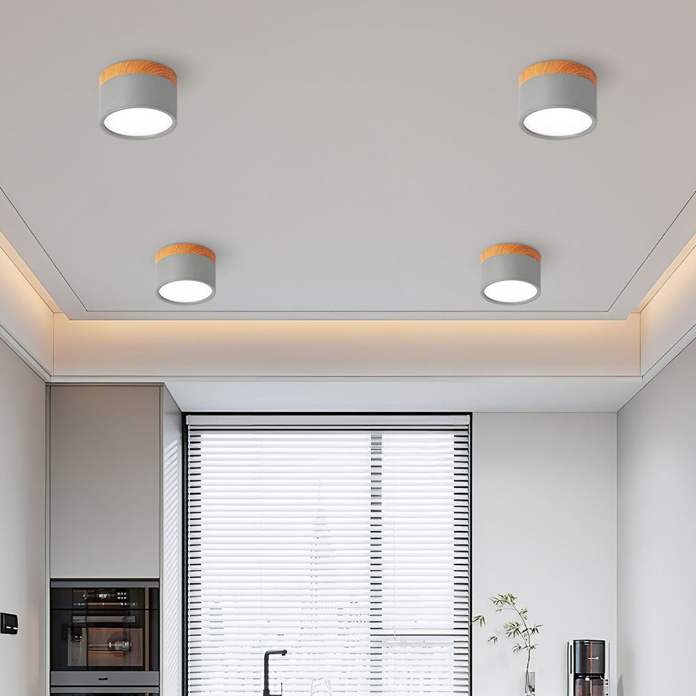 Cylinder LED Ceiling Spotlight – view 31 | BROKLEN