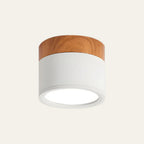 Cylinder LED Ceiling Spotlight – view 6 | BROKLEN