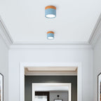 Cylinder LED Ceiling Spotlight – view 33 | BROKLEN