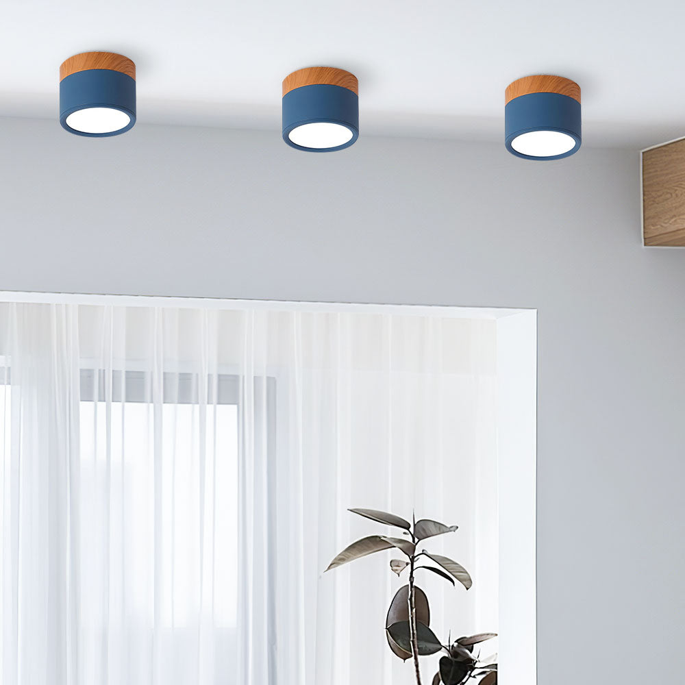 Cylinder LED Ceiling Spotlight – view 38 | BROKLEN