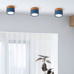 Cylinder LED Ceiling Spotlight – view 38 | BROKLEN
