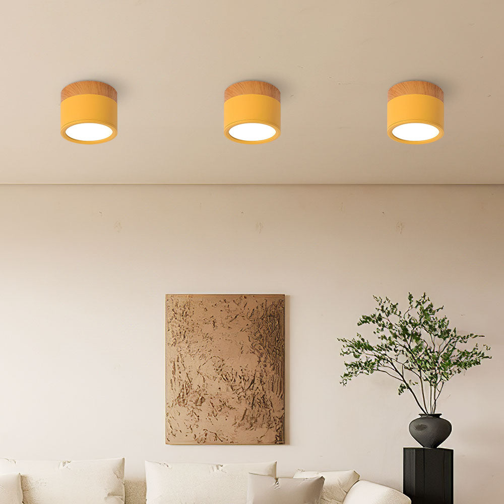 Cylinder LED Ceiling Spotlight – view 24 | BROKLEN