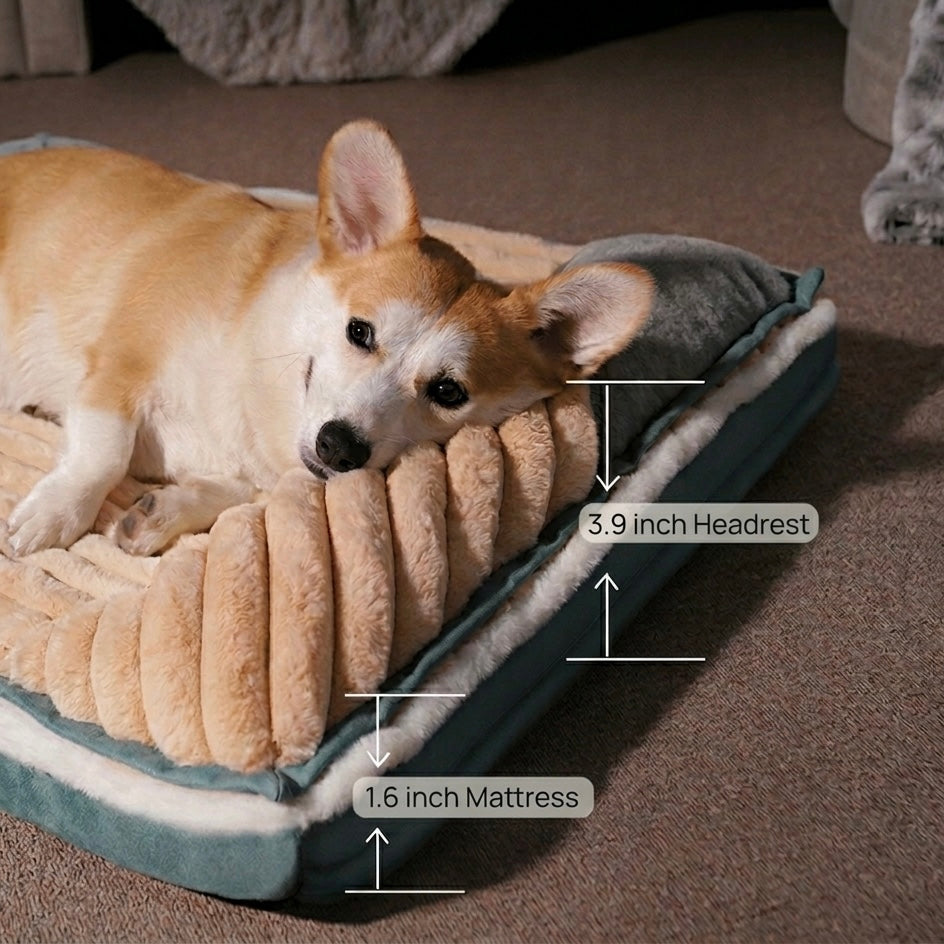 Memory Foam Dog Mat – Ergonomic Support & Removable Washable Cover | BROKLEN - view 4