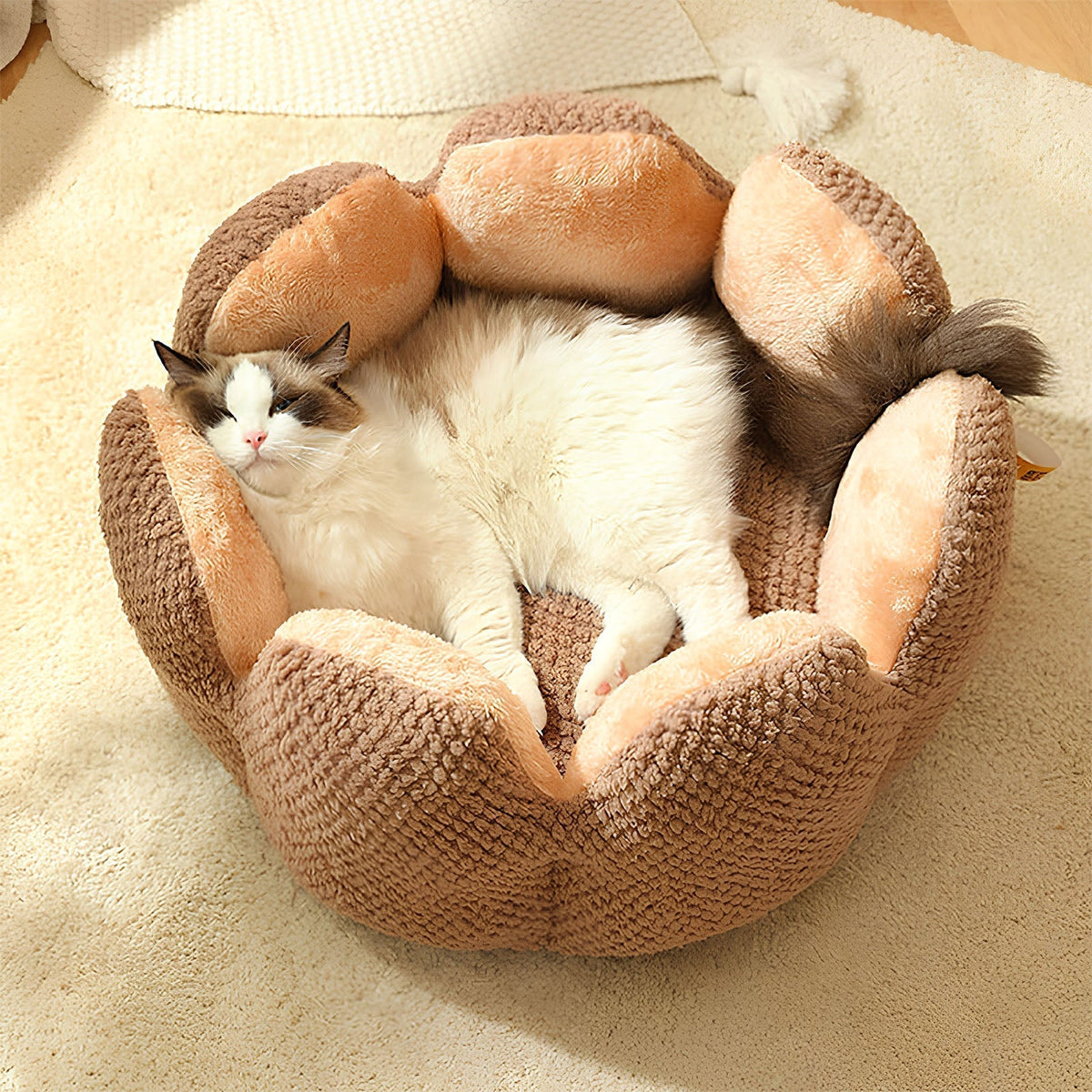 Cactus Pet Bed – Soft Plush with Cozy Enclosed Design for Cats & Small Dogs | BROKLEN - view 6