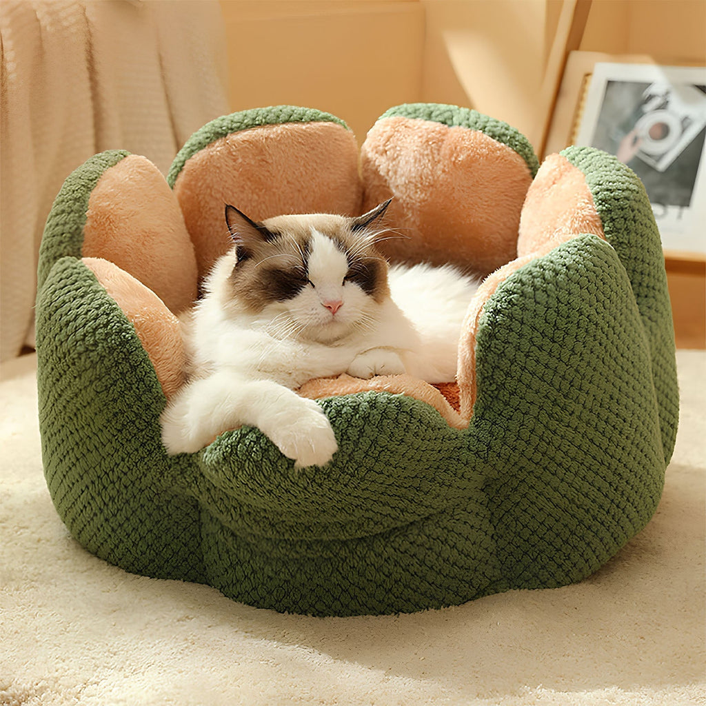 Cactus Pet Bed – Soft Plush with Cozy Enclosed Design for Cats & Small Dogs | BROKLEN - view 7