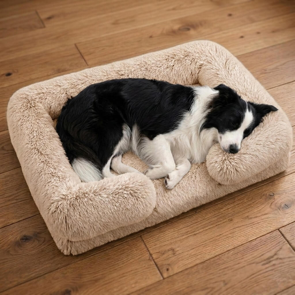 Orthopedic Dog Bed with High-Density Foam & Bolster Support – Large Size for Joint Relief | BROKLEN - view 9