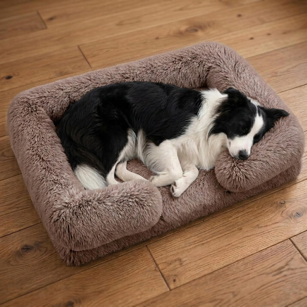 Orthopedic Dog Bed with High-Density Foam & Bolster Support – Large Size for Joint Relief | BROKLEN - view 10