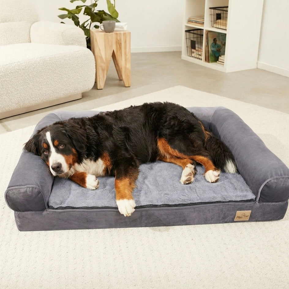 Orthopedic Dog Bed with Bolster & Waterproof Liner | BROKLEN