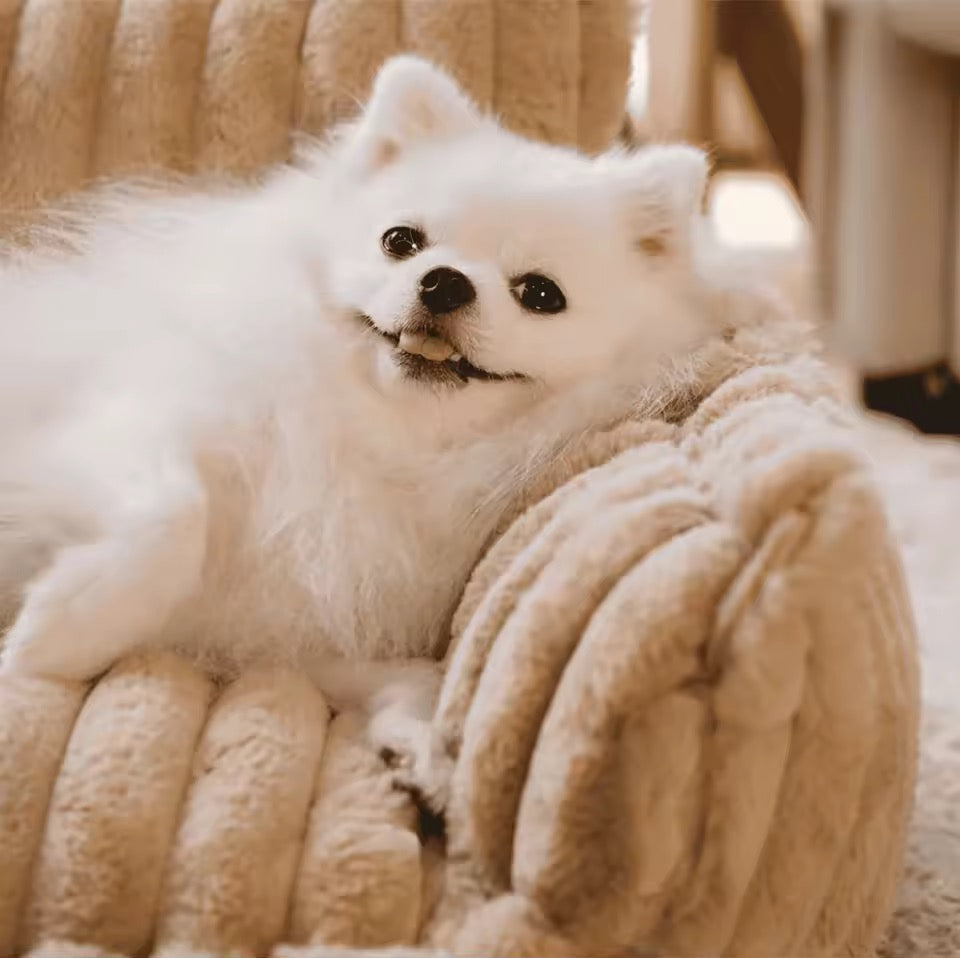 Orthopedic Dog Bed with Elevated Headrest & Joint Support | BROKLEN - view 6