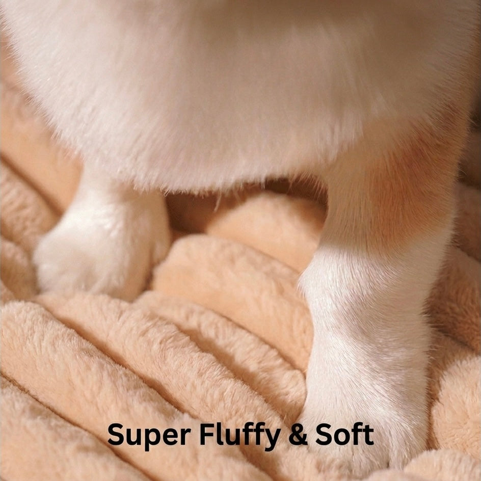 Memory Foam Dog Mat – Ergonomic Support & Removable Washable Cover | BROKLEN - view 6