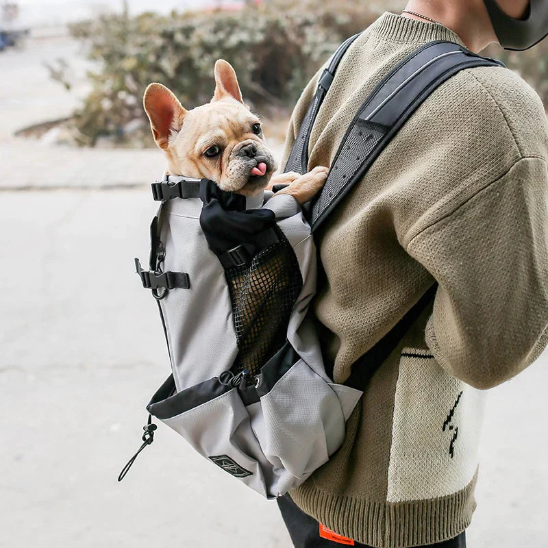 Dog Backpack Carrier – Ergonomic & Breathable with Built-In Safety Harness | BROKLEN