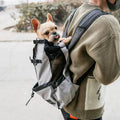 Dog Backpack Carrier – Ergonomic & Breathable with Built-In Safety Harness | BROKLEN