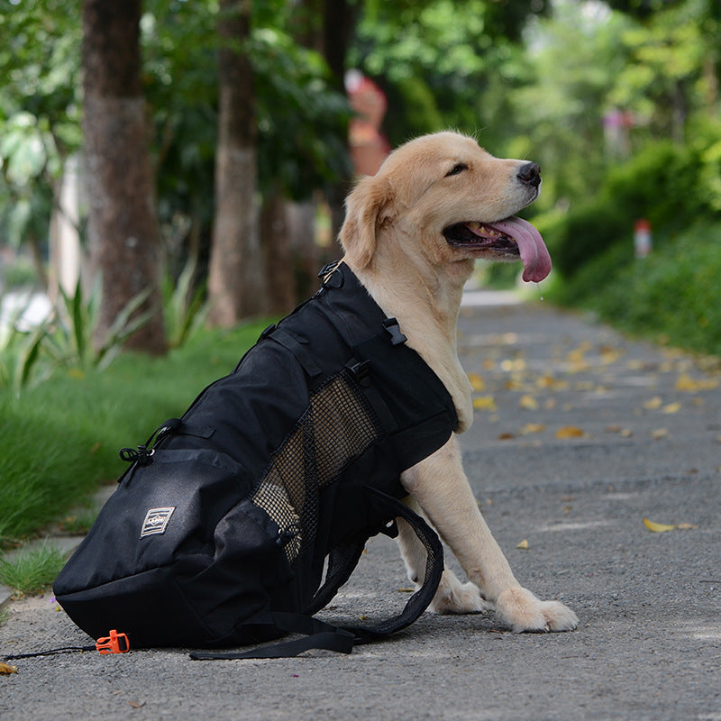 Dog Backpack Carrier – Ergonomic & Breathable with Built-In Safety Harness | BROKLEN - view 8