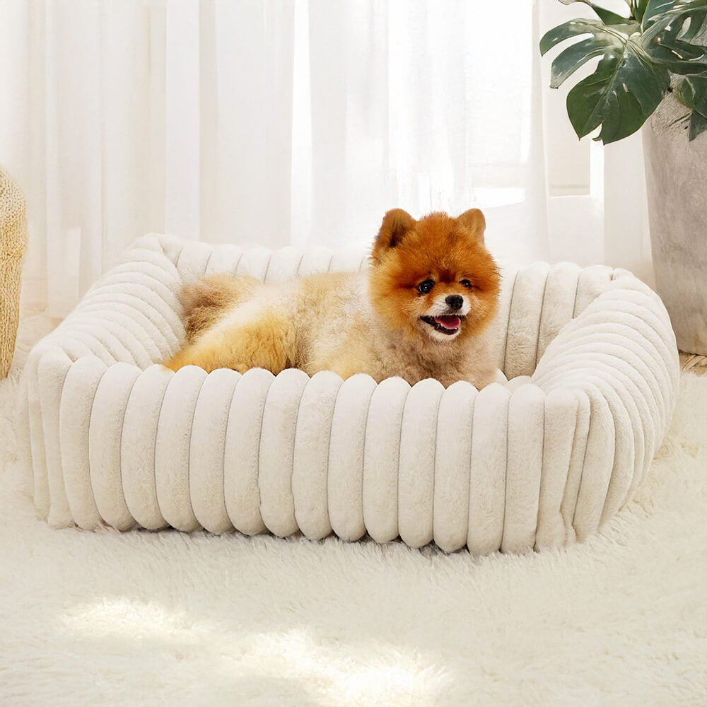 Orthopedic Dog Bed | Foam Base & Raised Edges | Small & Medium | 5 Colors | Hand Washable | BROKLEN - view 12