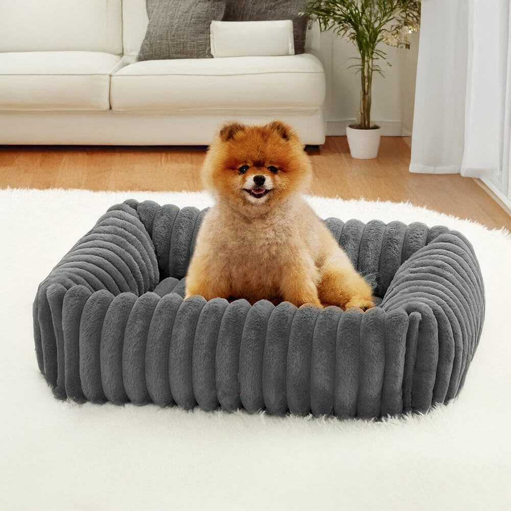 Orthopedic Dog Bed | Foam Base & Raised Edges | Small & Medium | 5 Colors | Hand Washable | BROKLEN - view 3