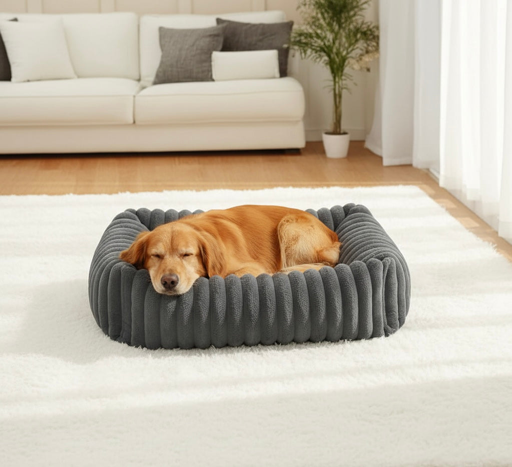 Orthopedic Dog Bed | Foam Base & Raised Edges | Small & Medium | 5 Colors | Hand Washable