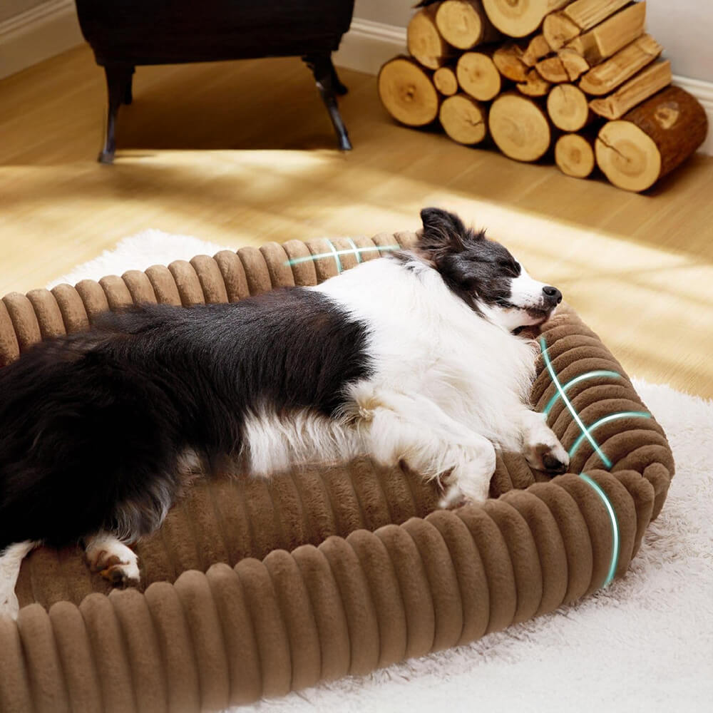 Orthopedic Dog Bed | Foam Base & Raised Edges | Small & Medium | 5 Colors | Hand Washable | BROKLEN - view 4