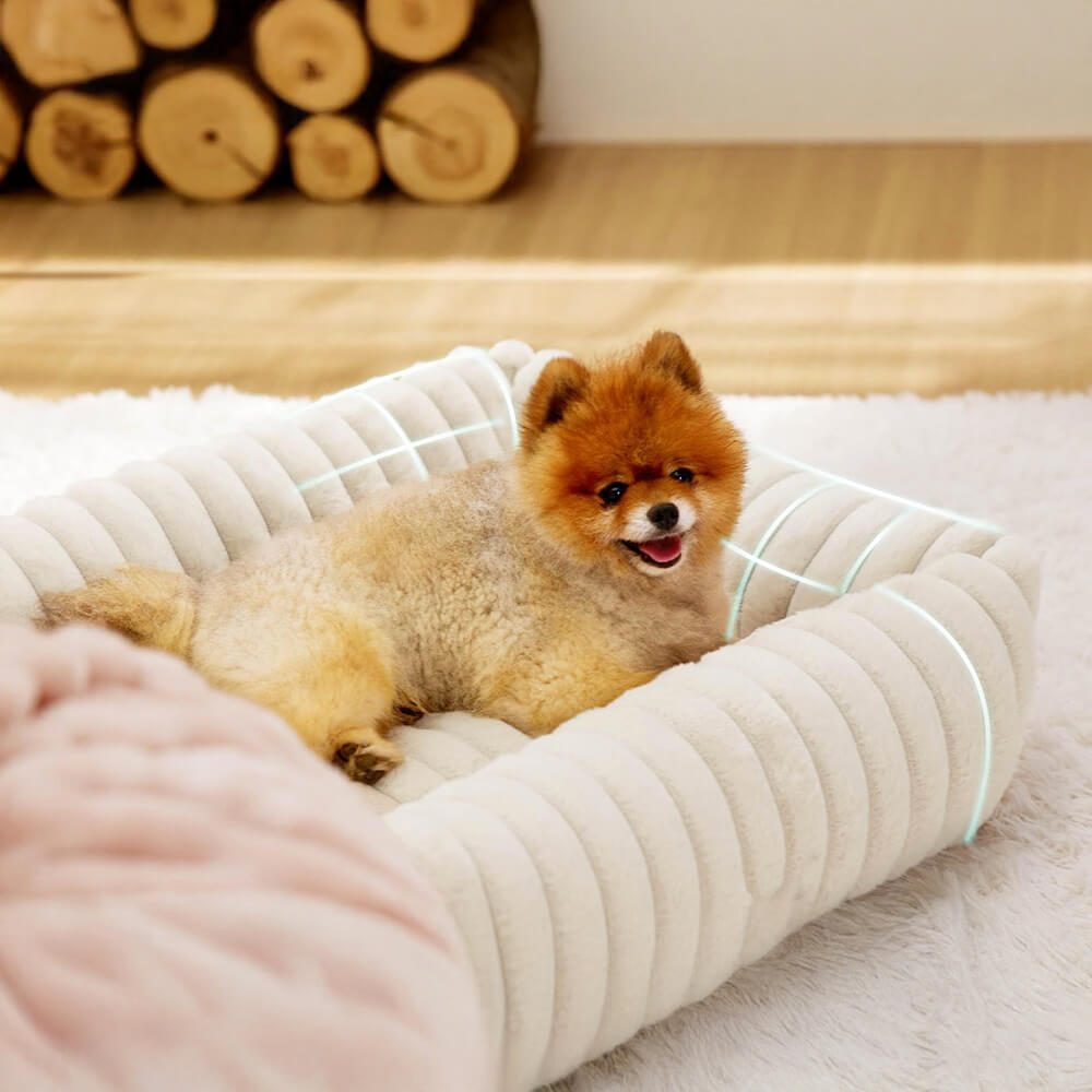 Orthopedic Dog Bed | Foam Base & Raised Edges | Small & Medium | 5 Colors | Hand Washable | BROKLEN - view 7