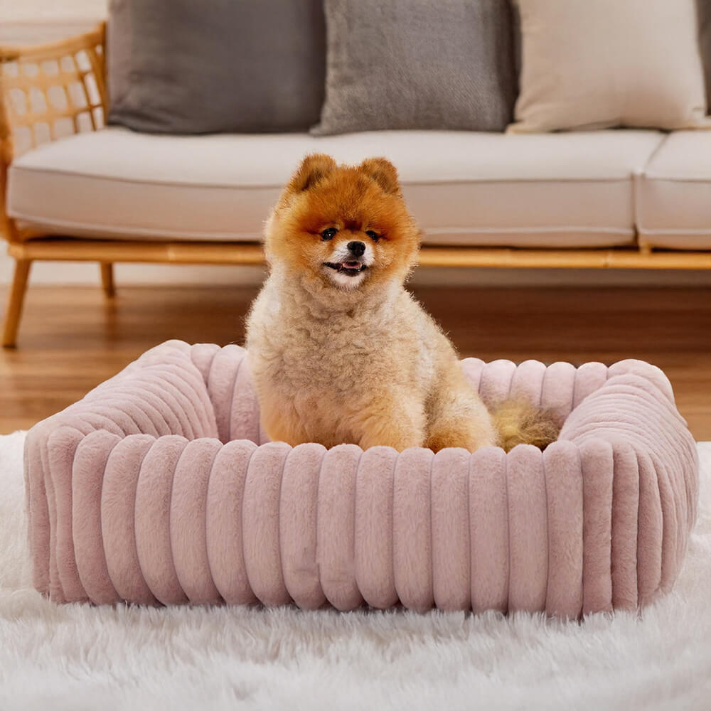 Orthopedic Dog Bed | Foam Base & Raised Edges | Small & Medium | 5 Colors | Hand Washable | BROKLEN - view 8