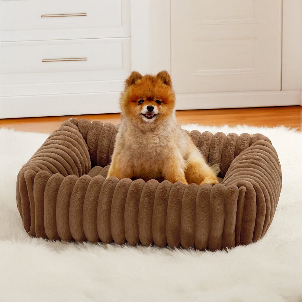 Orthopedic Dog Bed | Foam Base & Raised Edges | Small & Medium | 5 Colors | Hand Washable | BROKLEN - view 9