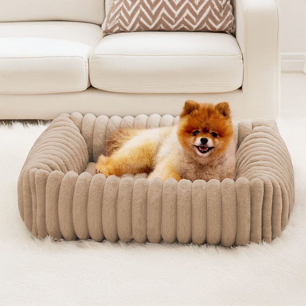 Orthopedic Dog Bed | Foam Base & Raised Edges | Small & Medium | 5 Colors | Hand Washable | BROKLEN - view 10