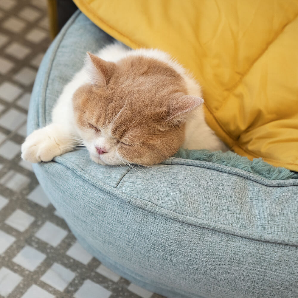 Orthopedic Dog Bed | Removable Washable Cover | Water-Resistant | Medium & Large | 6 Colors | BROKLEN - view 2