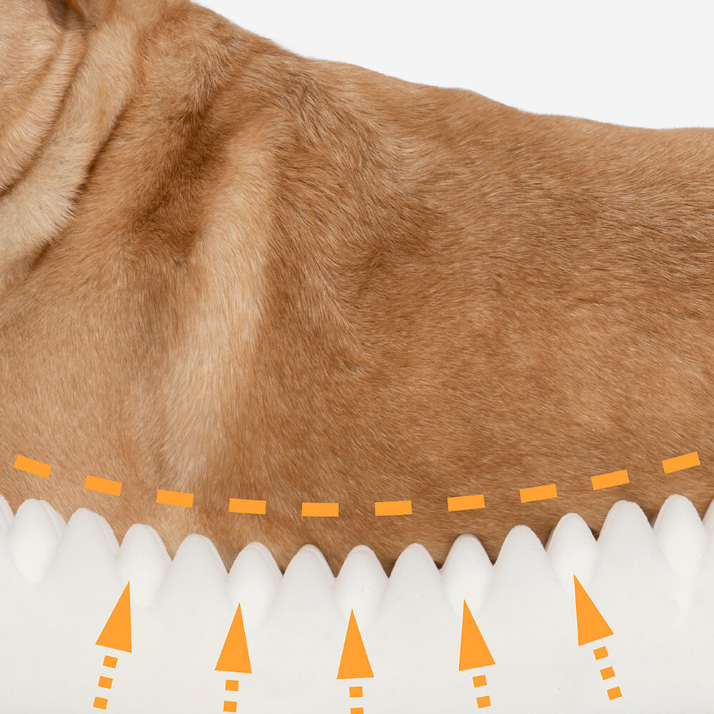 Orthopedic Dog Bed | Removable Washable Cover | Water-Resistant | Medium & Large | 6 Colors | BROKLEN - view 3