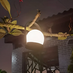 LED Globe Table Lamp – view 6 | BROKLEN
