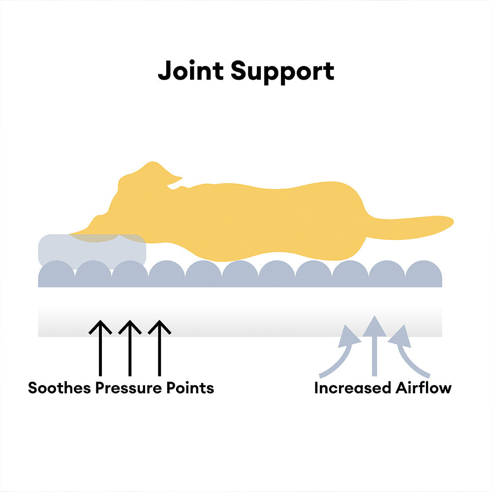 Orthopedic Dog Bed with Elevated Headrest & Joint Support | BROKLEN - view 3