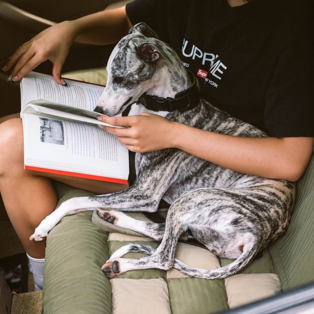Large Dog Car Seat Bed – Waterproof & Bolstered with Anti-Slip Base | BROKLEN - view 9
