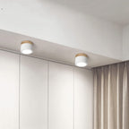 Cylinder LED Ceiling Spotlight – view 5 | BROKLEN