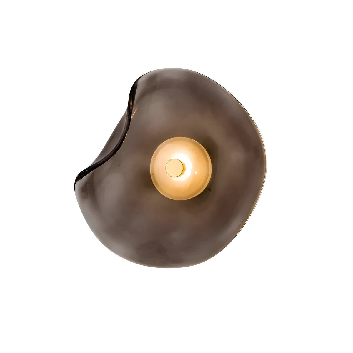 Curved Glass Sculptural Wall Light